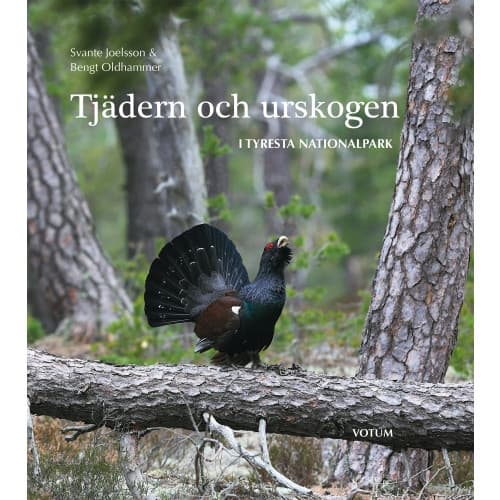 Tjädern och urskogen : i Tyresta nationalpark (inbunden)