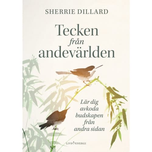 Tecken från andevärlden : lär dig avkoda budskapen från andevärlden (inbunden)