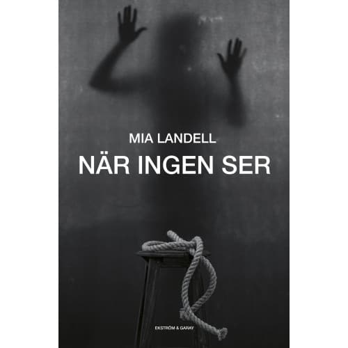 När ingen ser (inbunden)
