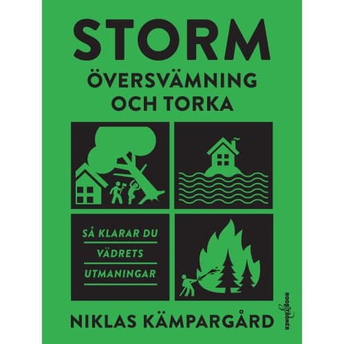 Storm : översvämning och torka - så klarar du vädrets utmaningar (bok, klotband)