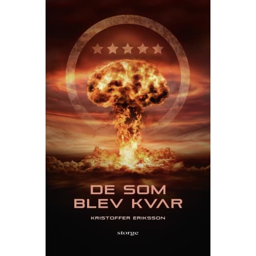 De som blev kvar (bok, kartonnage)