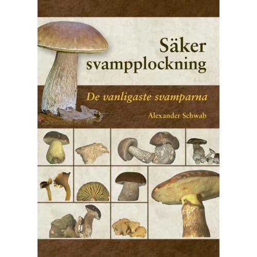 Säker svampplockning : de vanligaste svamparna (inbunden)