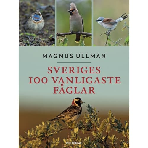Sveriges 100 vanligaste fåglar (bok, flexband)