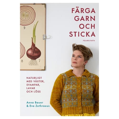 Färga garn och sticka : naturligt med växter, svampar, lavar och löss (inbunden)