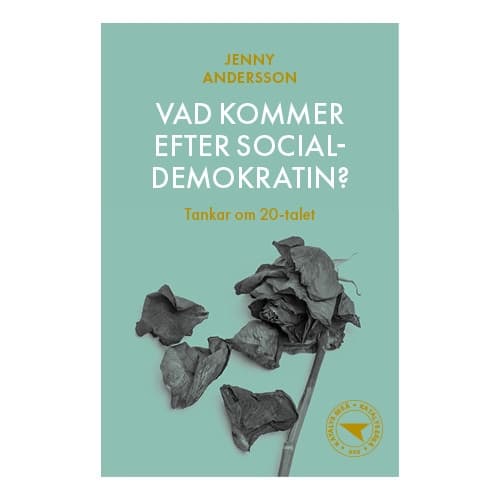Vad kommer efter socialdemokratin? : tankar om 20-talet (häftad)