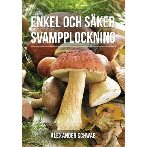 Säker svampplockning : de vanligaste svamparna (inbunden)