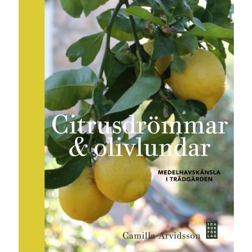 Citrusdrömmar & olivlundar : medelhavskänsla i trädgården (inbunden)