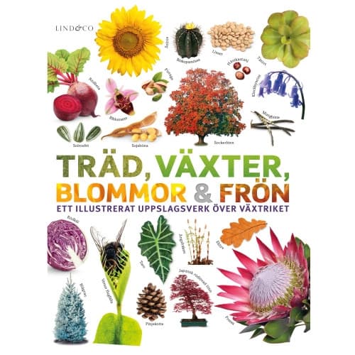 Träd, växter, blommor och frön : ett illustrerat uppslagsverk över växtriket (inbunden)