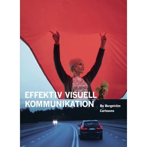 Effektiv visuell kommunikation : om nyheter, reklam, information och identitet i vår visuella kultur (bok, danskt band)