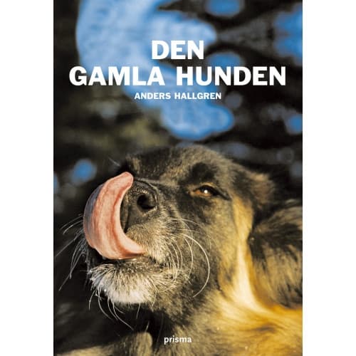 Den gamla hunden : om den äldre hundens fysiska och psykiska välbefinnande (bok, kartonnage)