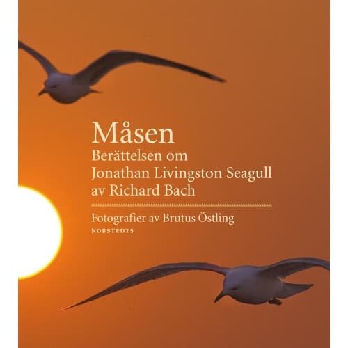 Måsen : berättelsen om Jonathan Livingston Seagull (inbunden)