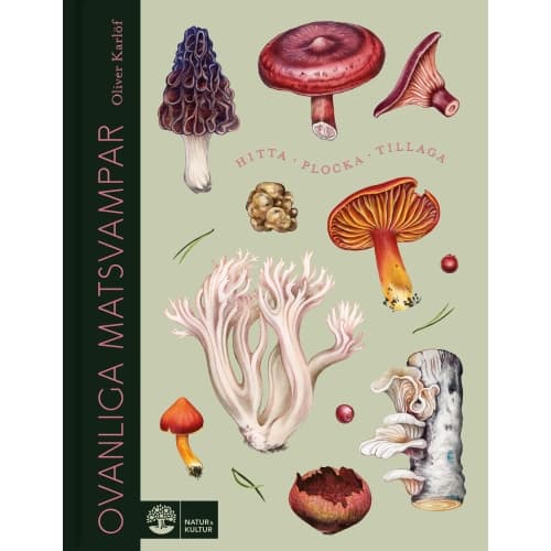 Ovanliga matsvampar (inbunden)