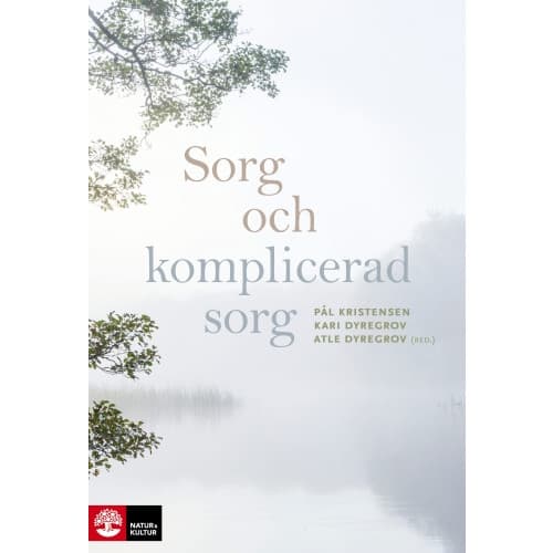 Sorg och komplicerad sorg (inbunden)