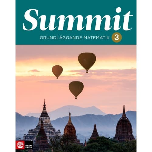 Summit 3 grundläggande matematik (häftad)