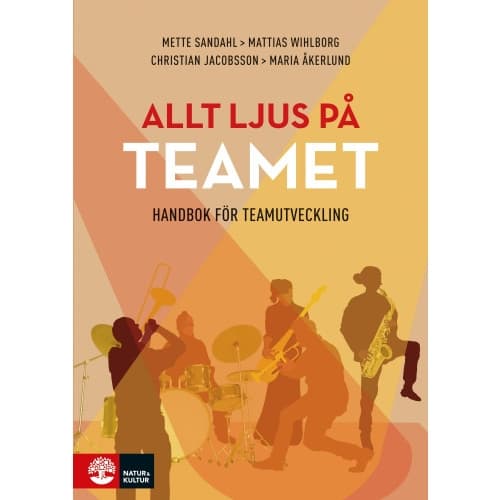 Allt ljus på teamet : en handbok för teamutveckling (bok, flexband)