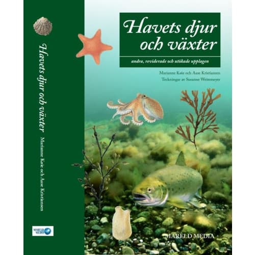 Havets djur och växter (bok, flexband)