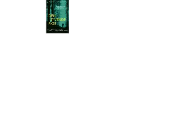Den syvende pige | Stacy Willingham