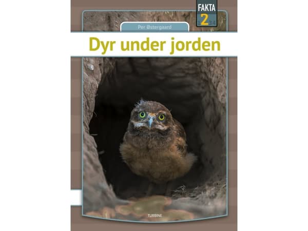 Dyr under jorden | Per Østergaard