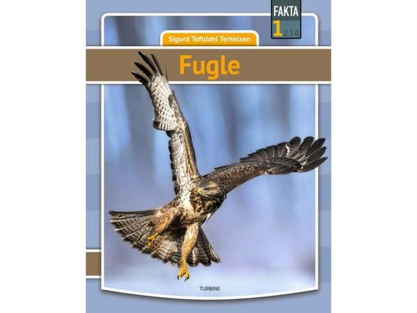 Fugle | Sigurd Toftdahl Terkelsen