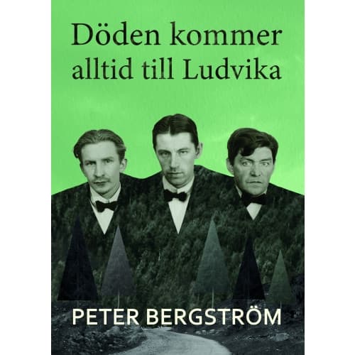 Döden kommer alltid till Ludvika (inbunden)