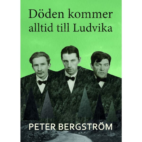 Döden kommer alltid till Ludvika (inbunden)