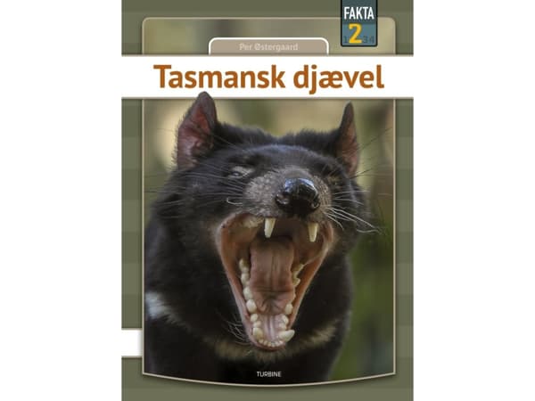 Tasmansk djævel | Per Østergaard