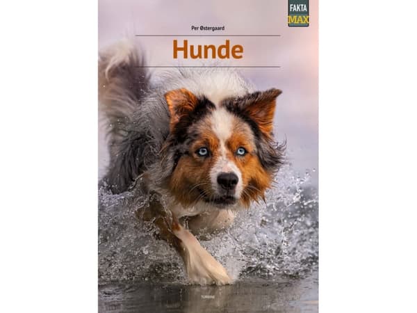 Hunde | Per Østergaard