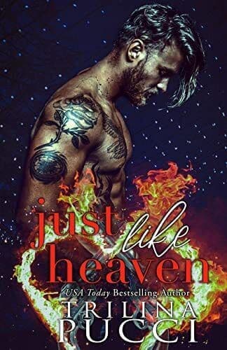 Just like Heaven: St. Simeon, Heaven, Pucci, Trilina Paperback Book Pre-Owned English