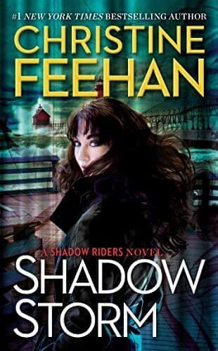 Shadow Storm: 6 (Shadow Riders Novel), Feehan, Christin Paperback Book Pre-Owned English