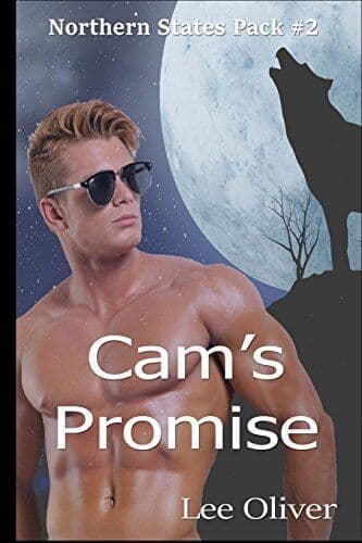 Cam&#8217;s Promise: Volume 2 (Northern Stat, Oliver, Lisa Paperback Book Pre-Owned English