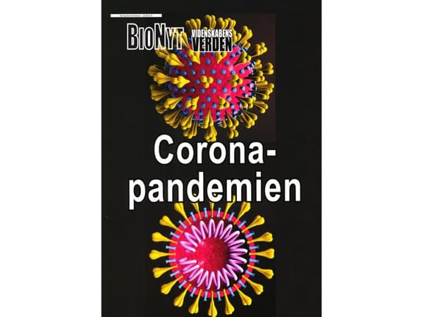 CORONA-PANDEMIEN | Ole Georg Terney