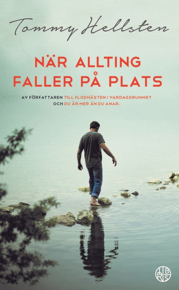 När allting faller på plats 9789173875950
