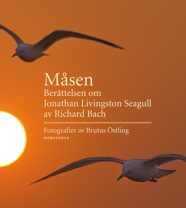Måsen : berättelsen om Jonathan Livingston Seagull 9789113017259