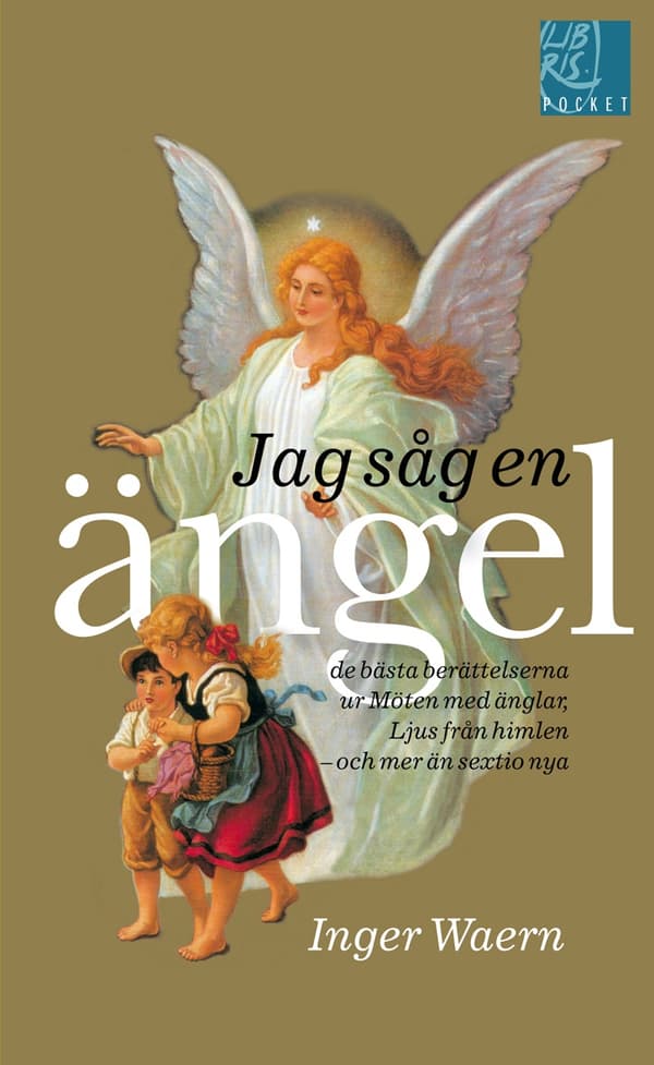 Jag såg en ängel 9789173872584