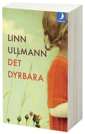 Det dyrbara 9789175031880