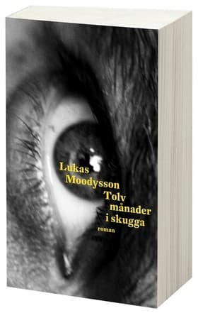 Tolv månader i skugga 9789175032214