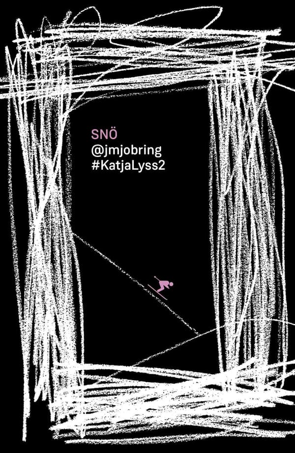 Snö 9789188445032