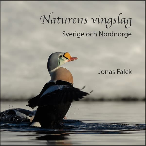 Naturens vingslag – Sverige och Nordnorge 9789151960647