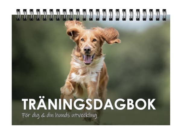Träningsdagbok : för dig och din hunds utveckling 9789198564433