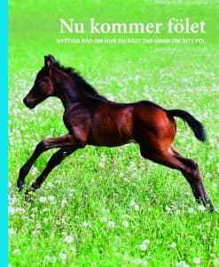 Nu kommer fölet 9789198316919
