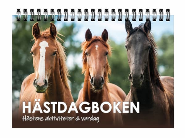 Hästdagboken, Hästens aktiviteter & vardag 9789198747713