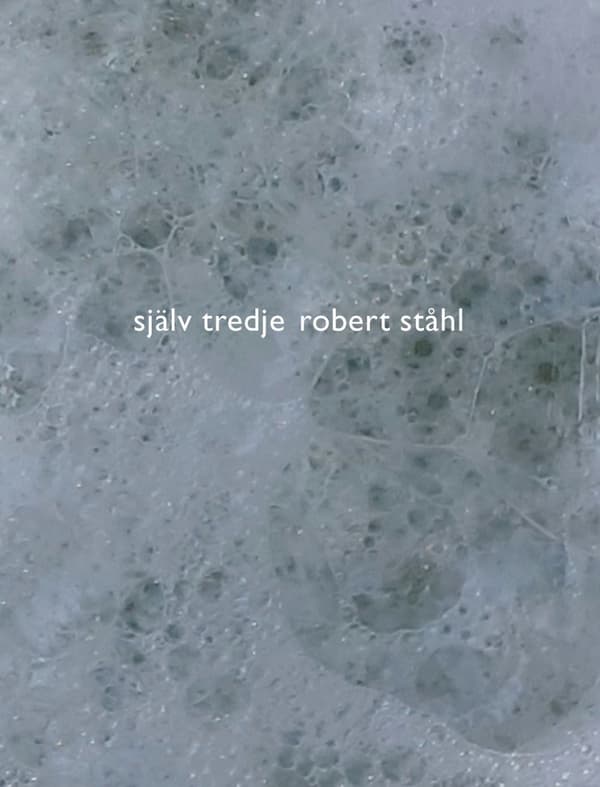 Själv tredje 9789185725687
