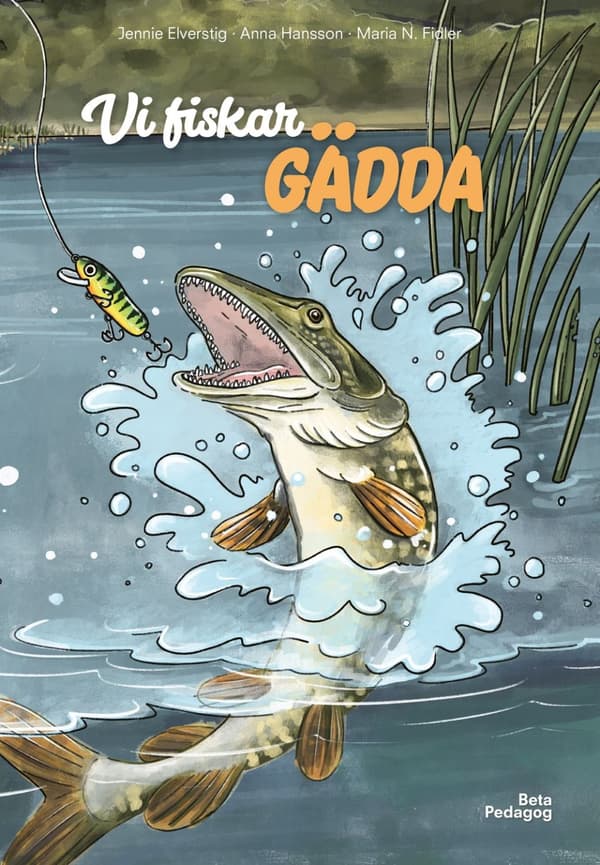 Vi fiskar gädda 9789189697119