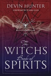 Witchs book of spirits 9780738751948