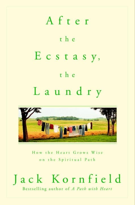 After the Ecstasy, the Laundry 9780553378290