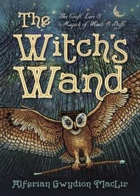 Witchs wand 9780738741956