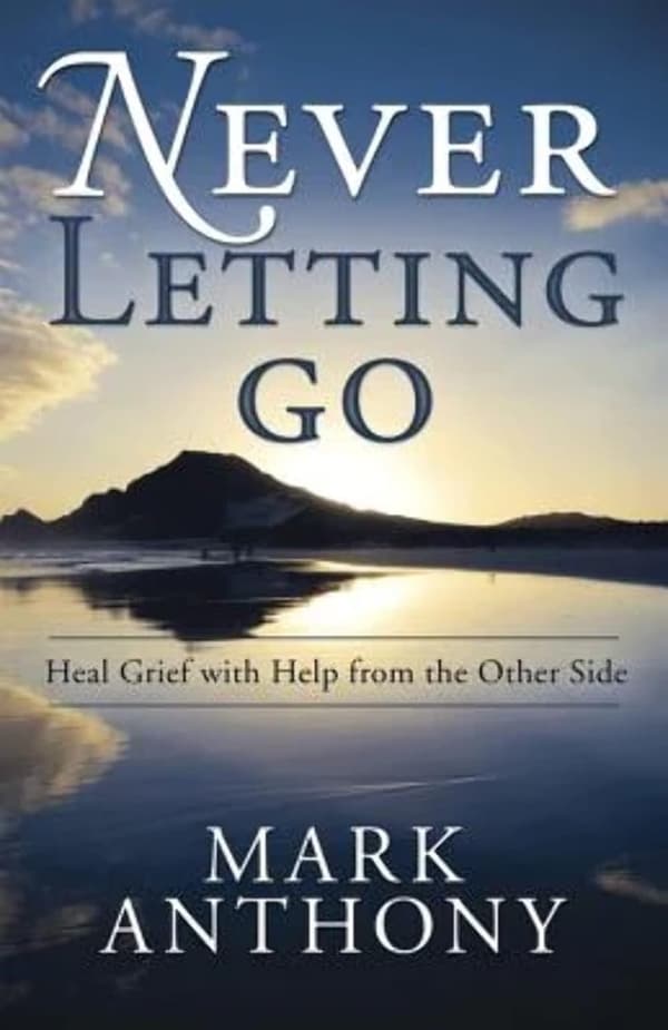 Never Letting Go 9780738727219