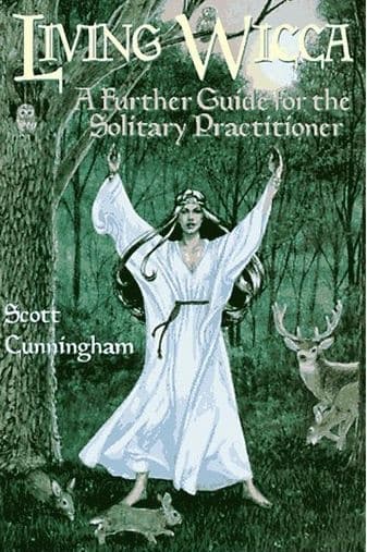 Living wicca 9780875421841