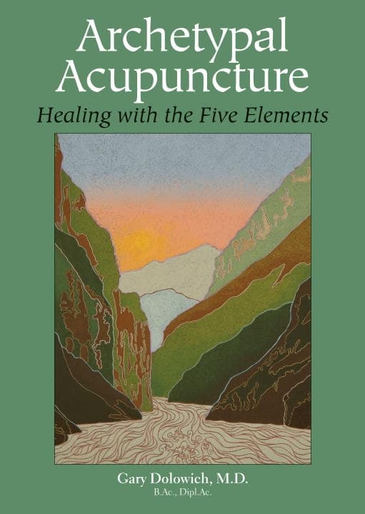 Archetypal Acupuncture 9781583943106