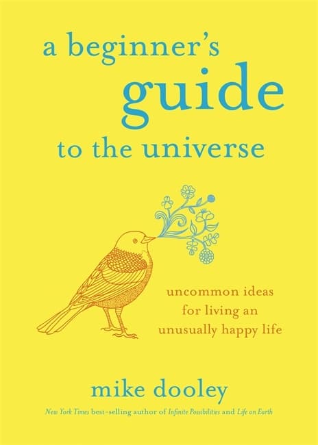 A Beginner's Guide to the Universe 9781401955021